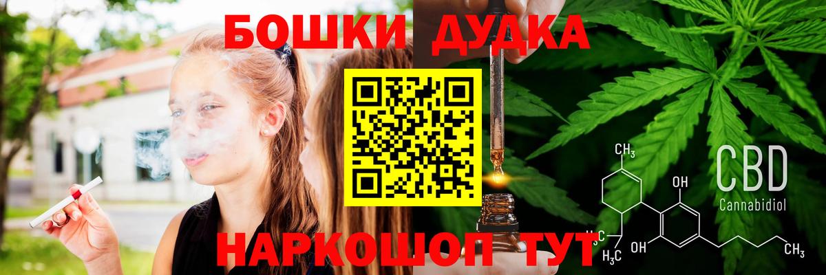 Бошки Шишки план Сегежа